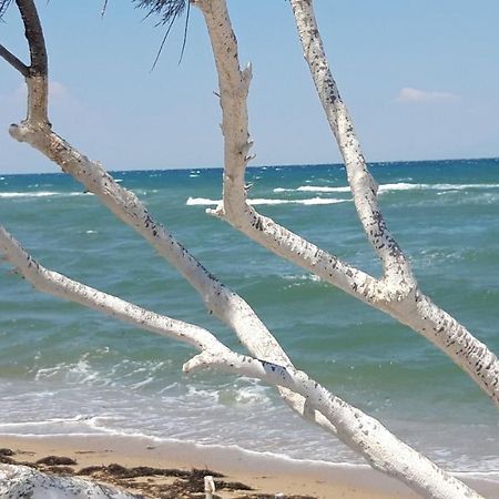 Perea White Suites Peraía Екстериор снимка