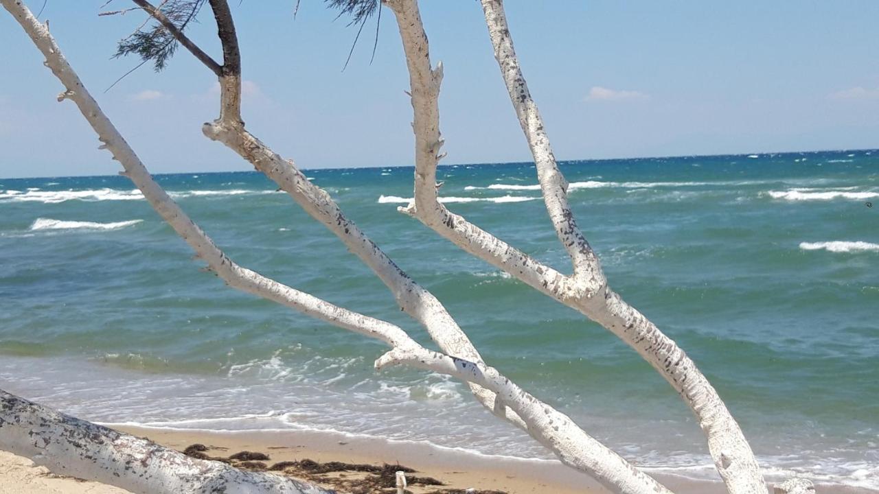 Perea White Suites Peraía Екстериор снимка